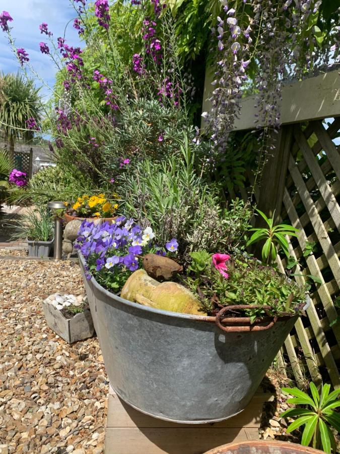 Stargazy Garden Lejlighed Hayle Eksteriør billede