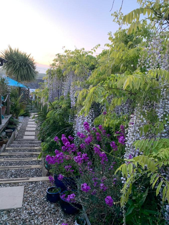 Stargazy Garden Lejlighed Hayle Eksteriør billede